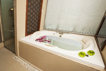 Master Bathroom with Terrace View